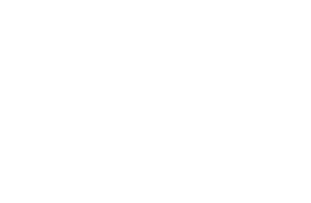 Nattler-Energy Partner